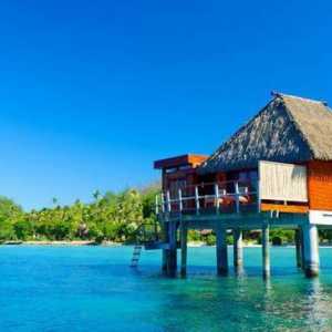 Odmor u Fidži: recenzije i fotografije
