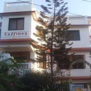 Gaffinos Beach Resort 2 * (Indija, Goa): recenzije i recenzije hotela