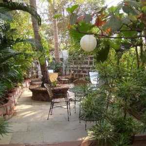 Hoteli 3 *: Alidia Beach Resort, Indija. Fotografije i recenzije turista