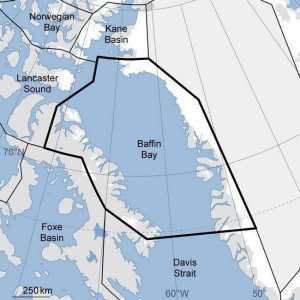 Otkriće Williama Baffina - more Arktikovog bazena, pranje zapadne obale Grenlanda