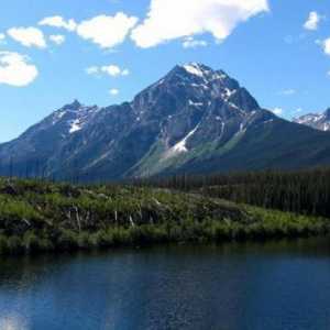 Jezero Athabasca: opis, flora i fauna, ekološki problemi