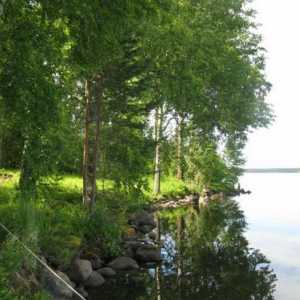 Jezero Gusinoye, Priozersky okrug - izvrsno mjesto za opuštanje