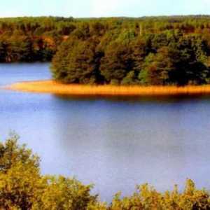 Jezero Krivoye: hidrološka rezerva u Bjelorusiji i gradsko naselje u Ukrajini