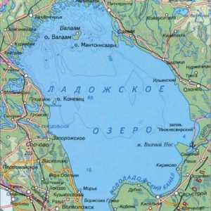 Jezero Ladoga: opis, dubina, reljef, riba