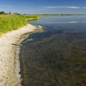 Jezero Solenoye, regija Kurgan. Jezera Kurgan regije