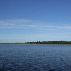 Jezero Vozhe: opis, značajke, fotografija