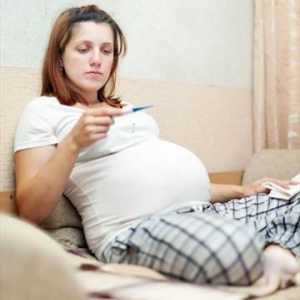 Zimica tijekom trudnoće u ranoj fazi. Koji lijekovi mogu biti trudni?