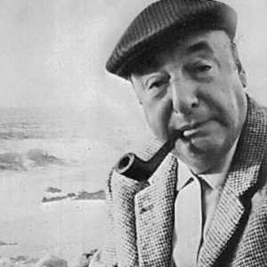 Pablo Neruda: kratka biografija, poezija i djelo. GGBU Lyceum br. 1568 nazvan po Pablo Neruda