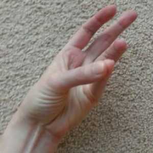 Finger gimnastika u srednjoj skupini i starijih