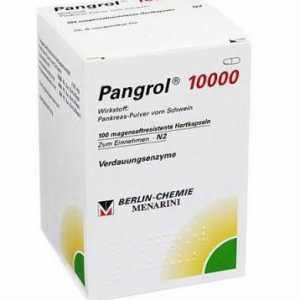 `Pangrol 10000`: upute za djecu, recenzije, analozi