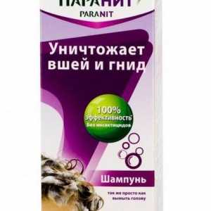 `Paranit` (šampon) - recenzije. Šampon protiv štetnog djelovanja