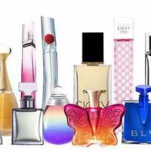 Parfumerija Z-SHOP: recenzije kupaca, asortiman i proizvodi