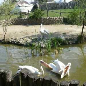Park `Sunny Island` (Krasnodar): atrakcije, safari park, cijene i adresa