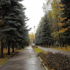 Park `Vinnovsky Grove`, Ulyanovsk: adresa, fotografija, recenzije