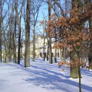 Parkovi Sankt Peterburg: gdje hodati zimi s djetetom i sa psom