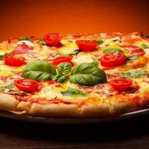 Pećnice profesionalne za pizzu: recenzije, fotografije, upute, veličine. Mini pećnica za pizzu