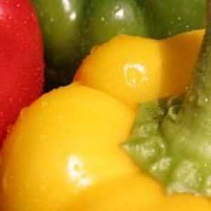 Pepper Bogatyr: recenzije vrtlara
