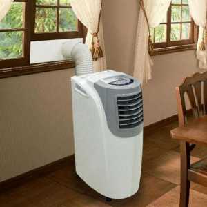 Prijenosni klima uređaji Bork: korisnički priručnik, pregled najboljih modela i recenzija