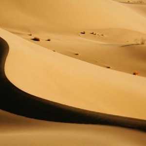 Песчаный бархан. Что такое бархан и какова его роль в жизни пустыни?