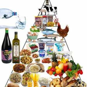 Piramida hrane. Piramida pravilne prehrane. Zdrava prehrana: Piramida hrane