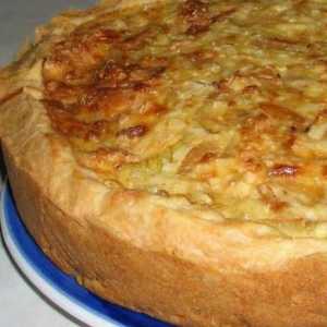Kolač s lukom s otopljenim kolačima od sira: fotografije i recepti