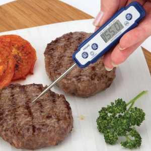 Hrana termometar: glavne prednosti i raznolikost asortimana