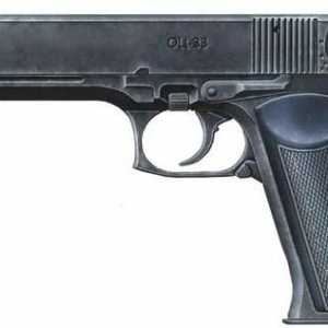 Pištolj `Pernach`: opis, uređaj