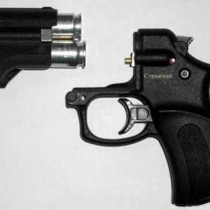 Pistol traumatskog `Guard `MP-461: pregled, značajke i recenzije