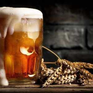 Pivo `Bouquet Chuvashia`: što ga razlikuje od ostalih proizvođača piva