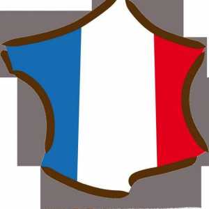 Plan opisa zemlje: Francuska. Francuska: povijest zemlje. Francuska: kulturni spomenici