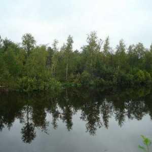 Plan priče `Vasyutkino jezero`. Upute za preživljavanje u taigama