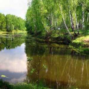 Plaćeni ribolov: Yusupovo (okrug Domodedovo)