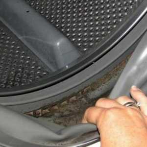 Plijesan u stroju za pranje rublja: kako se riješiti jednom i za sve