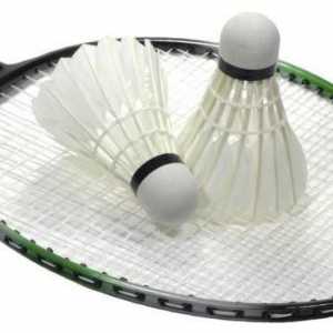 Platforme za badminton: dimenzije, visina mreže. Pravila za badminton