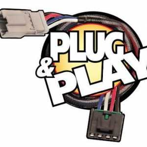 Plug and Play - što je to? sinopsis