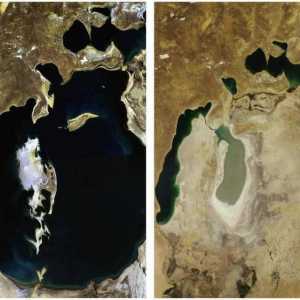 Zašto se Aralovo more suši: uzrokuje
