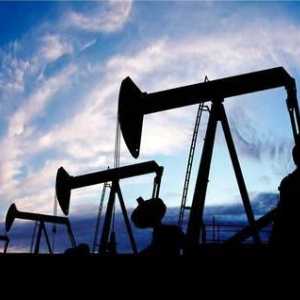 Почему дешевеет нефть? Прогноз цены на нефть