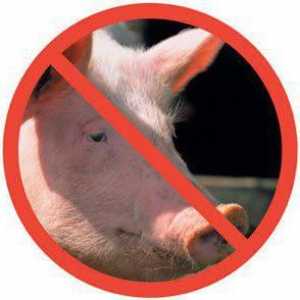 Zašto Židovi ne jedu svinjetinu: povijest, tradicija i zanimljive činjenice