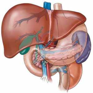 Zašto i od čega jetre boluje: moguće uzroke, simptome i liječenje