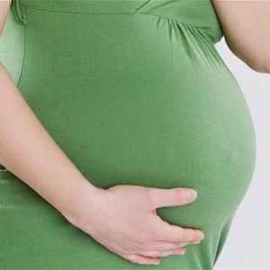 Zašto rastu kosu na abdomenu tijekom trudnoće?