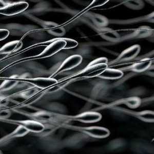 Zašto tekućina sperme postala transparentna: mogući uzroci