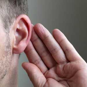 Zašto su uši velike: uzroci, dijagnoza i liječenje. Ljudi s najvećim ušima