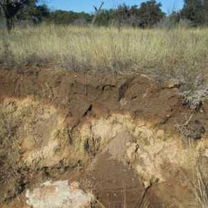 Horizonti tla - slojevi tla koje nastaju u procesu stvaranja tla