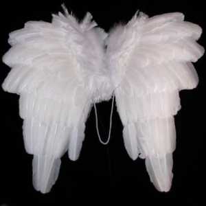 Priprema za karneval. Mi krila anđela s vlastitim rukama (tri načina)