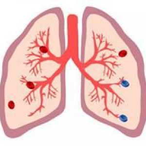 Pojedinosti organa u kojima je krv zasićena kisikom