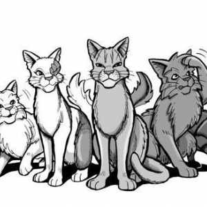 Detaljna lekcija: kako nacrtati mačke-ratnike