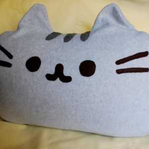 Jastuk "mačka" s vlastitim rukama. Kako vezati jastuk s iglama za pletenje