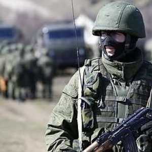 Ruske granične snage: zastava, obrazac i ugovorna usluga