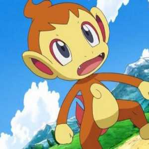 Pokemon Chimchar: sve informacije o kućnom ljubimcu