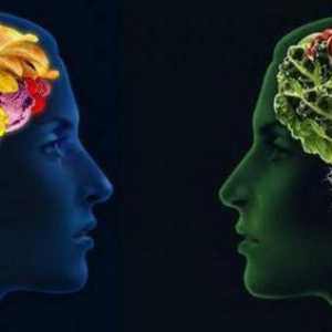 Korisni proizvodi za mozak i pamćenje
